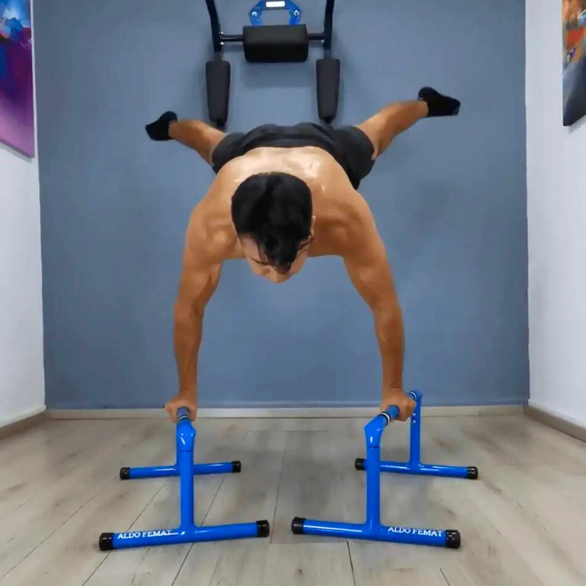 Plank on parallel bars